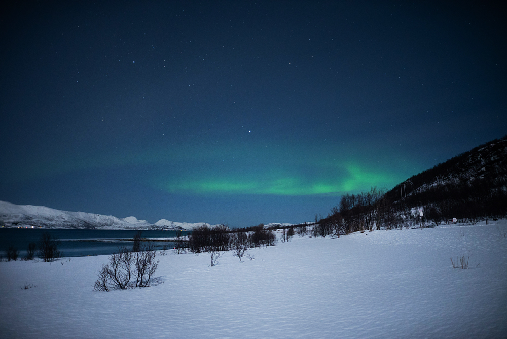 hazalishere_wordpress_northernlights_by_meda_chasing_lights.jpg