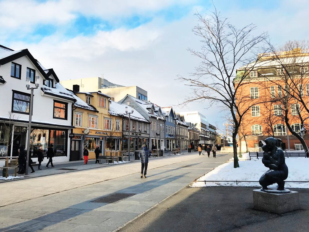 hazalishere_wordpress_storgata